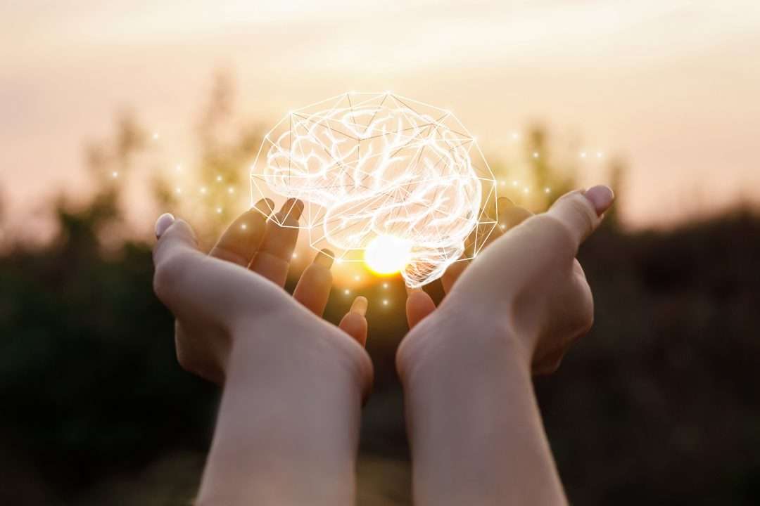 A Brain of Unlimited Potential