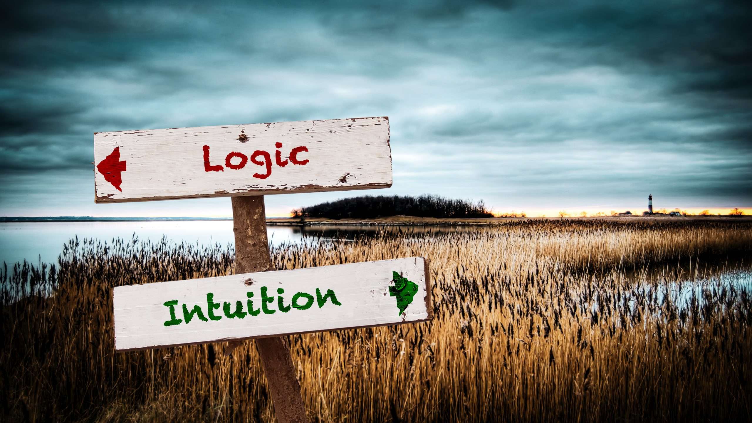 Embrace Intuition