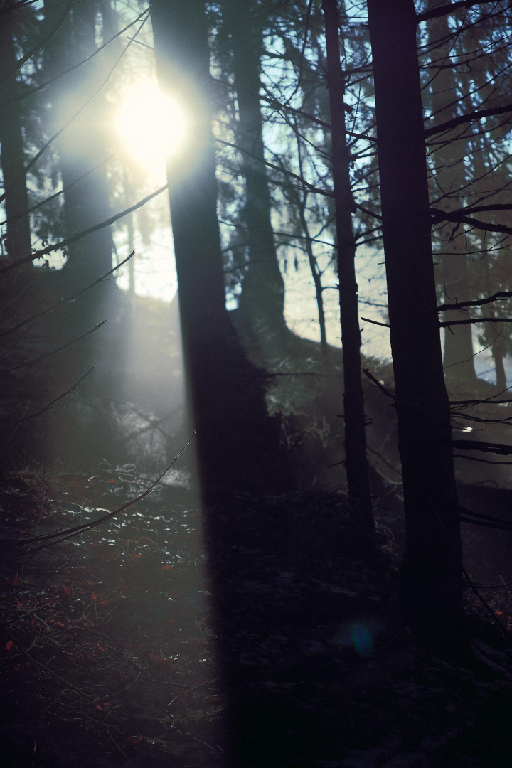 Fear is information arriving before meaning