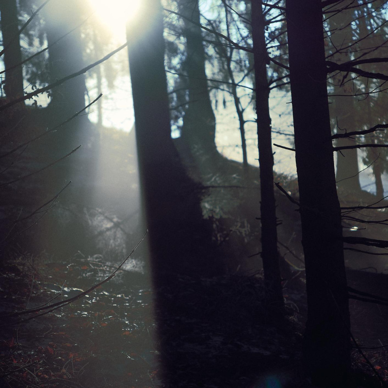 Fear is information arriving before meaning