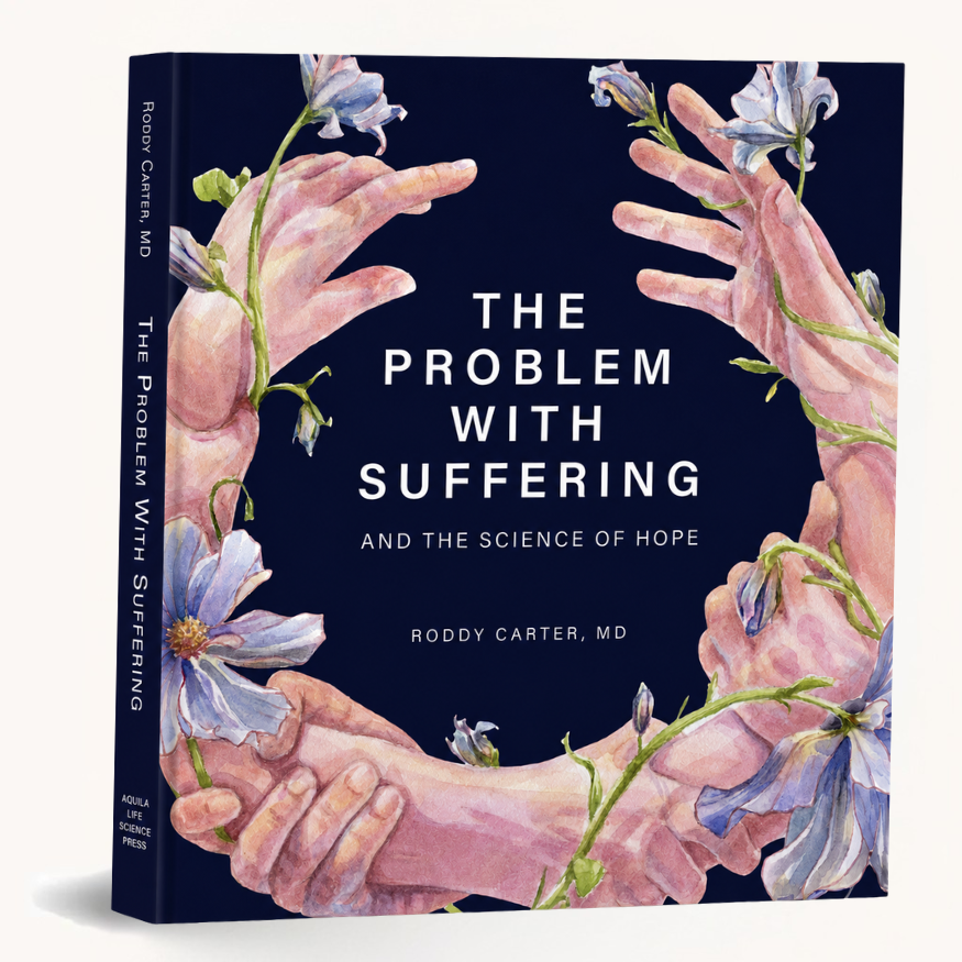 The Problem with Suffering